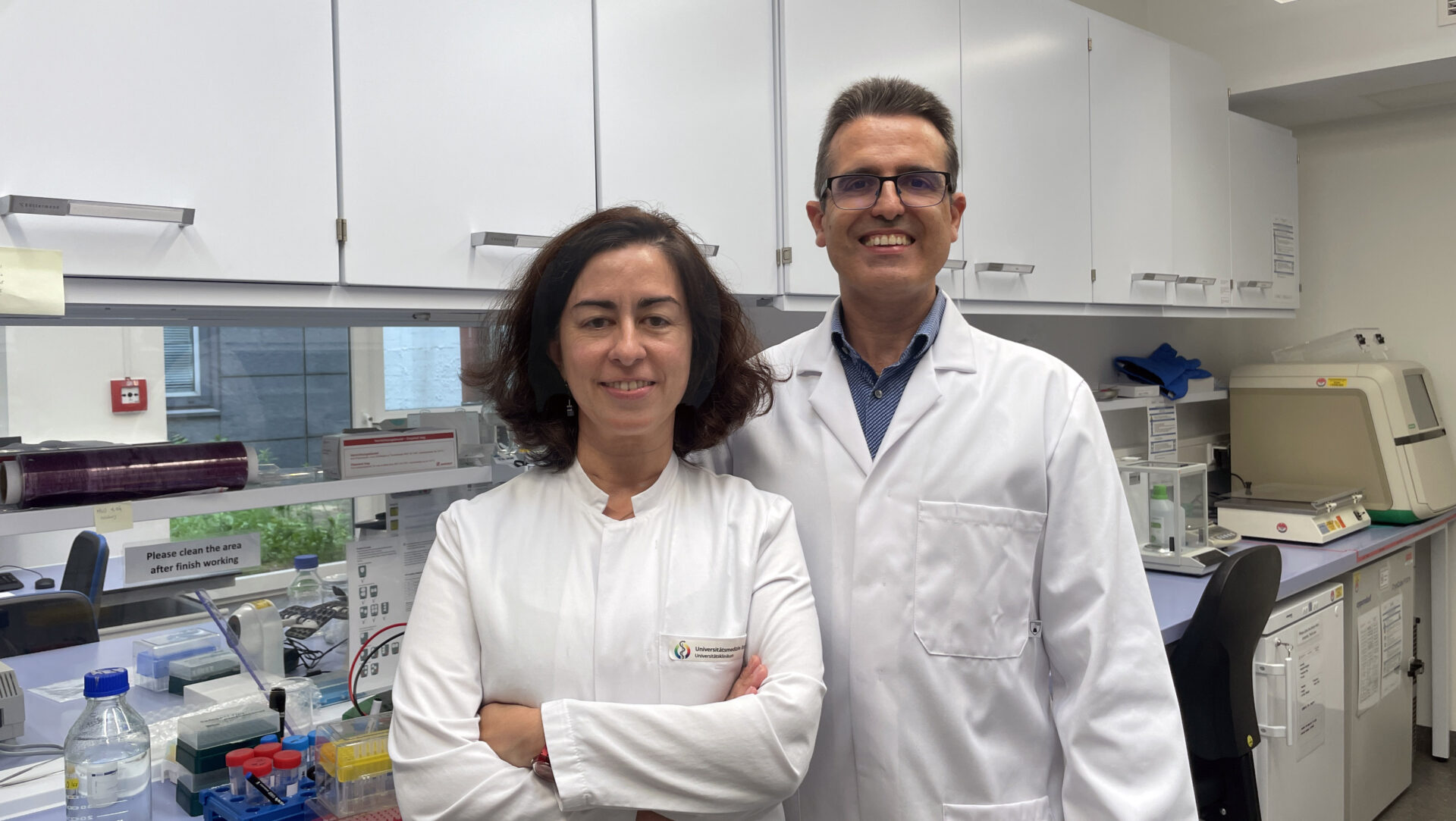 Autophagie in BAP1-defizienten Tumoren als Ziel: UDE-Forschungsteam entdeckt vielversprechenden Therapieansatz - Titelbild