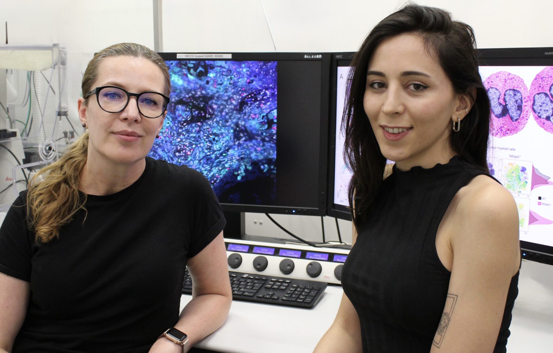 Krebstherapie: Neutrophile mehr als nur Ersthelfer - Titelbild